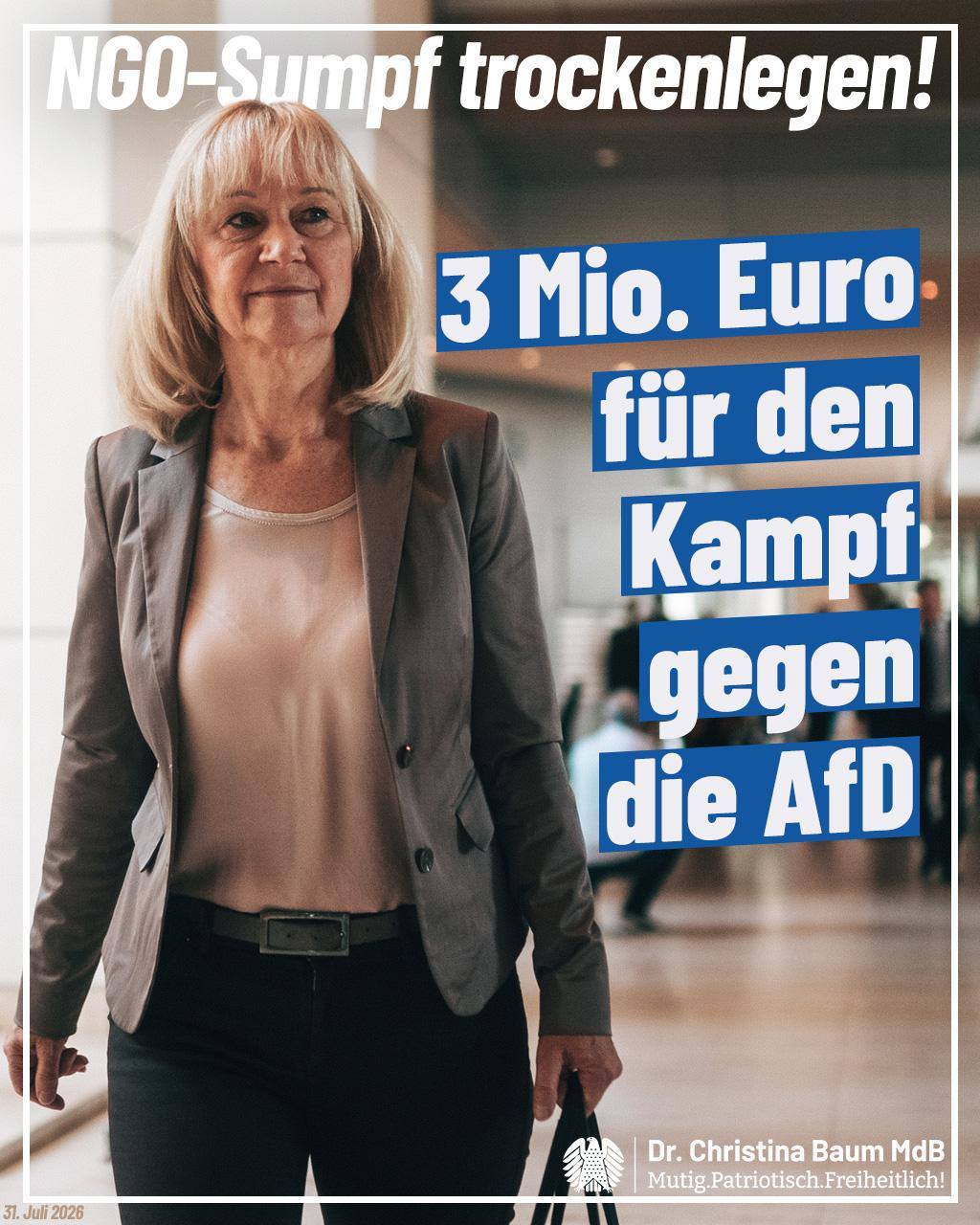 NGO-Sumpf: 3 Millionen Euro gegen die AfD